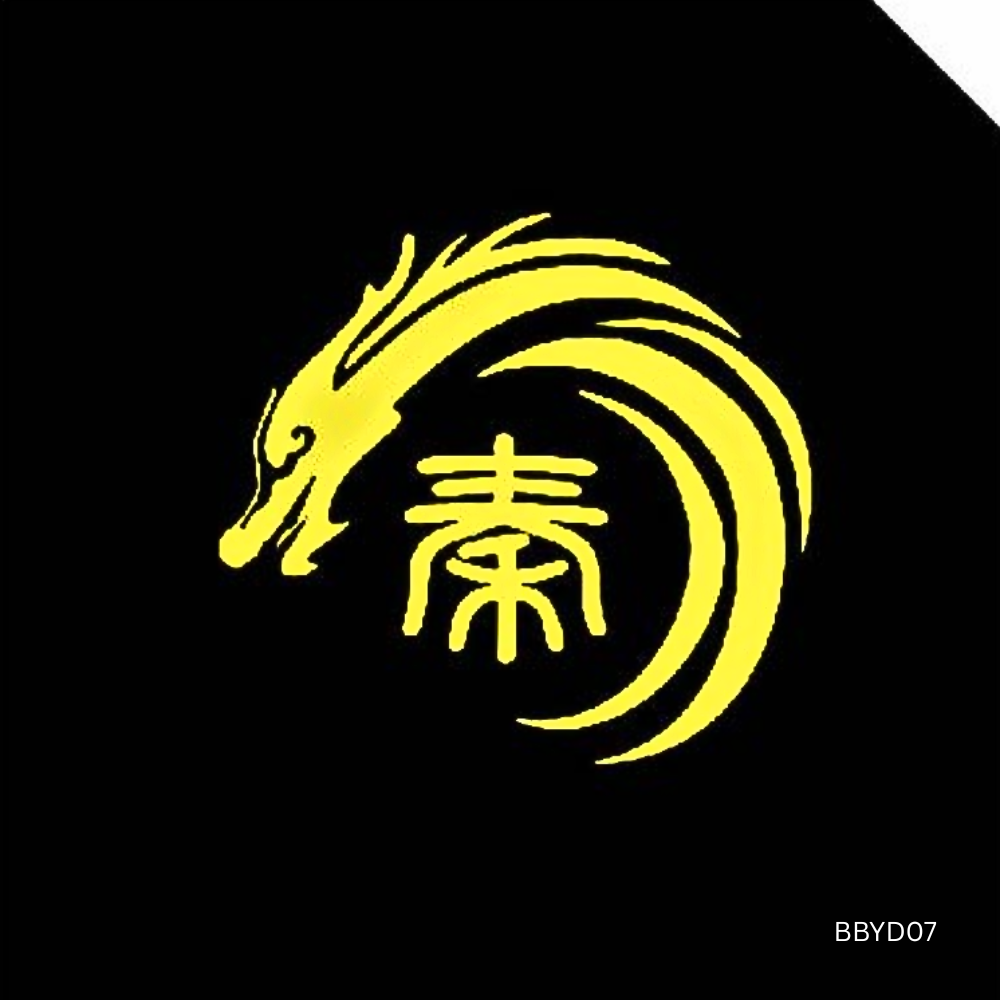 HD Pro Puddle Light for BYD