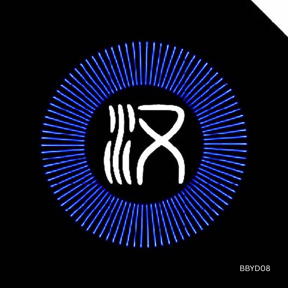 HD Pro Puddle Light for BYD