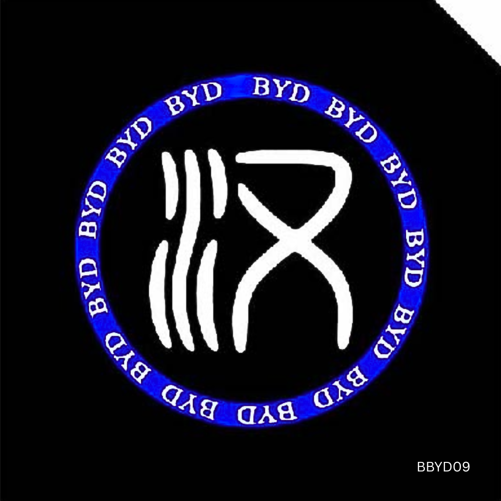 HD Pro Puddle Light for BYD