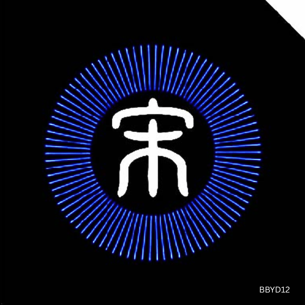 HD Pro Puddle Light for BYD