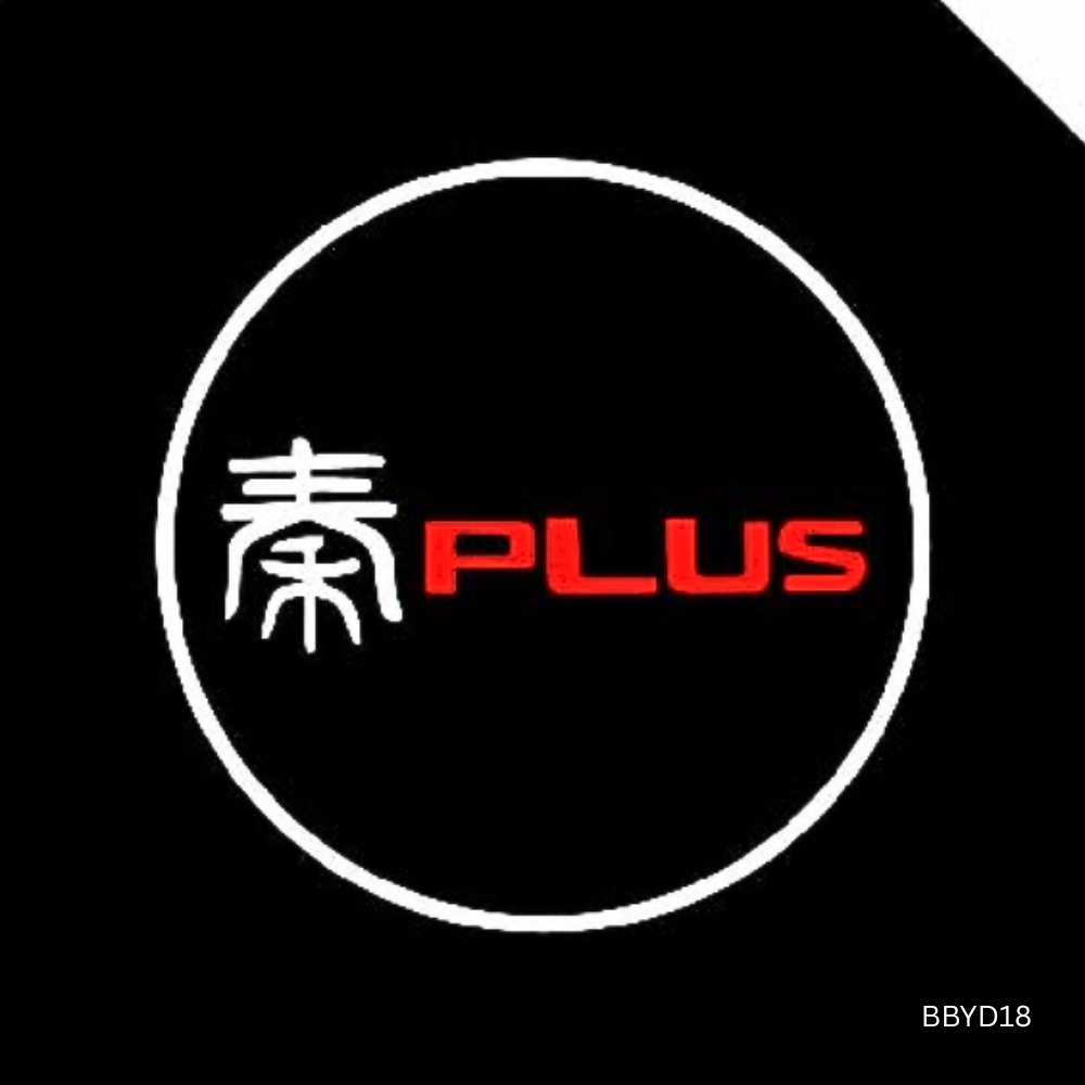 HD Pro Puddle Light for BYD