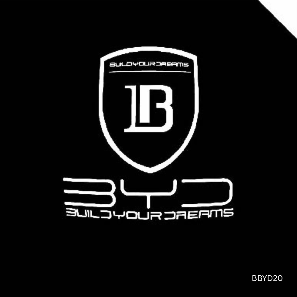 HD Pro Puddle Light for BYD