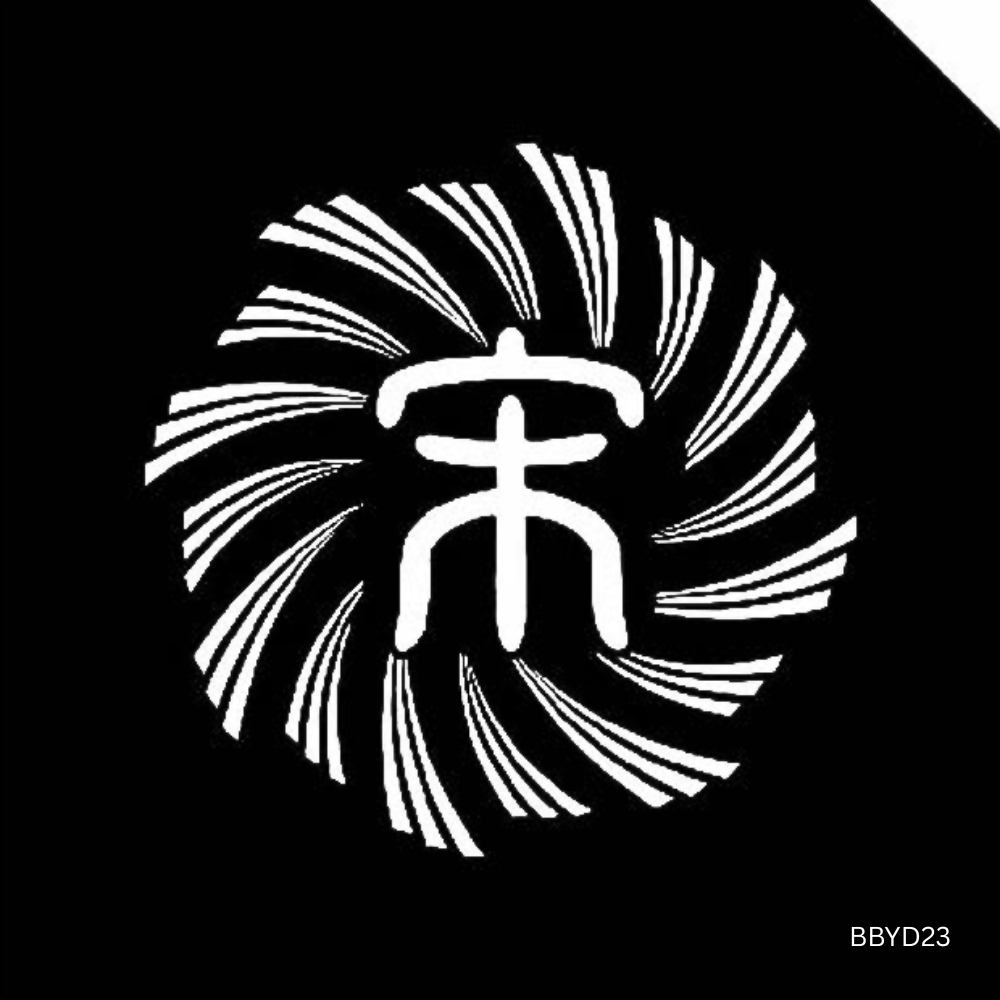 HD Pro Puddle Light for BYD