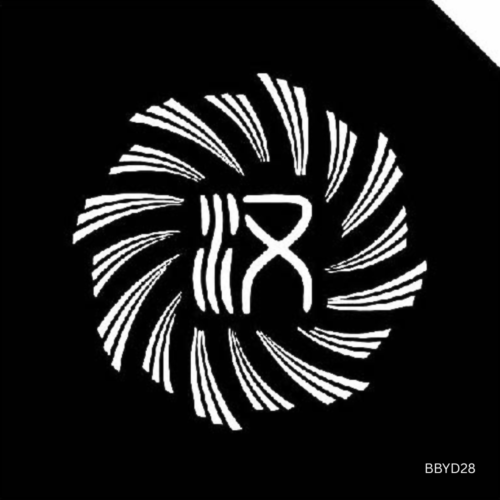 HD Pro Puddle Light for BYD