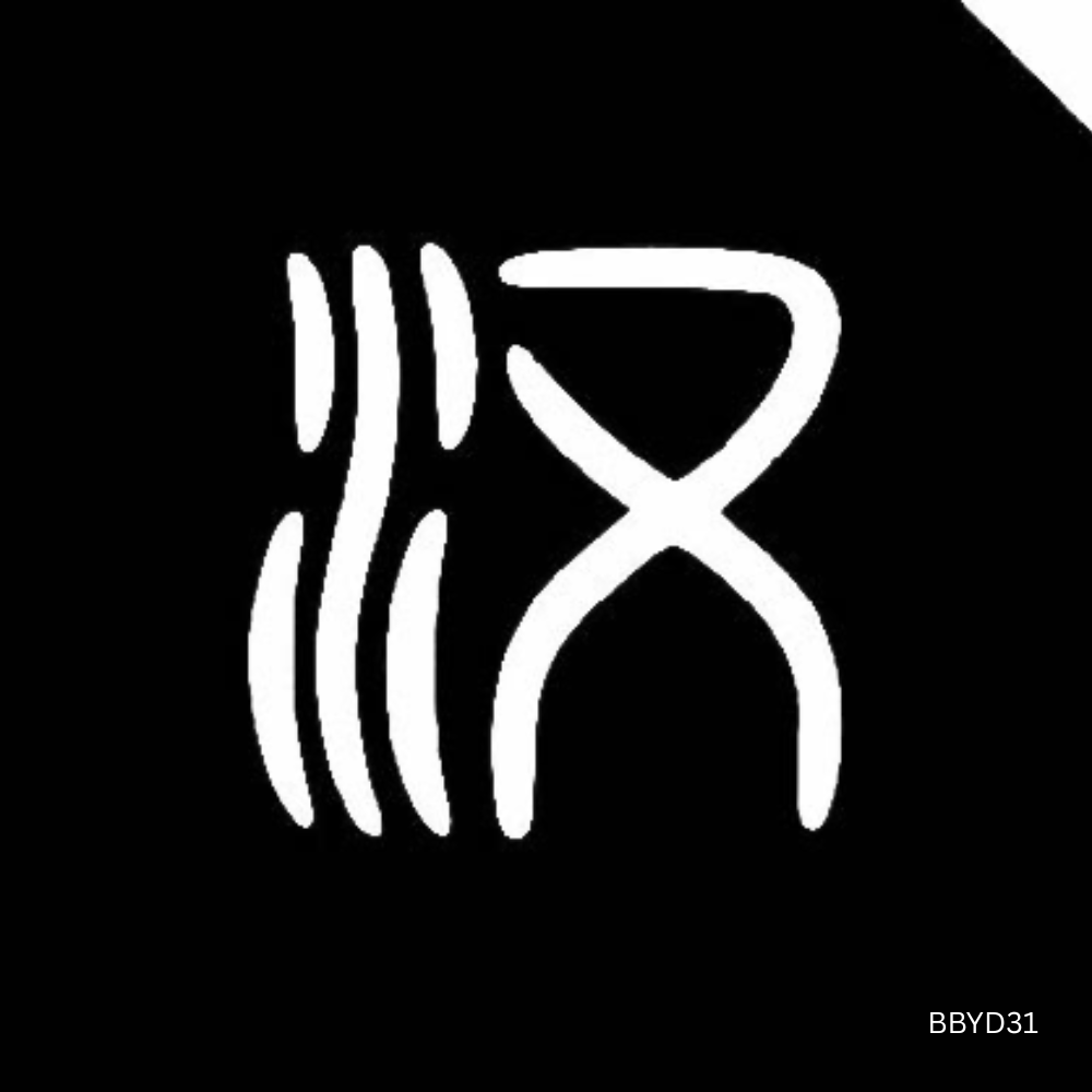 HD Pro Puddle Light for BYD